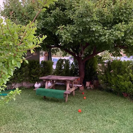 Summer On Yenikum Sahil Guzelcamlı